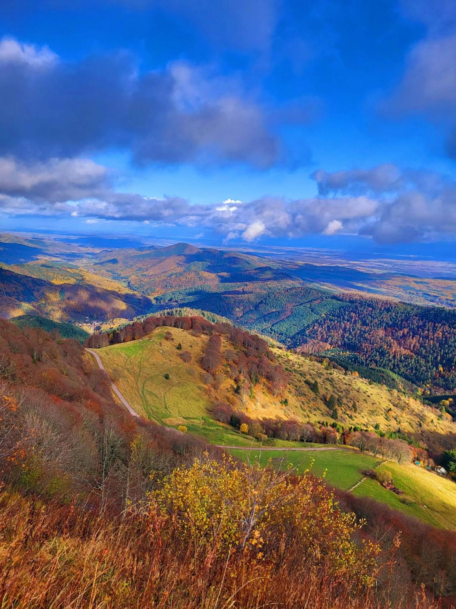 Le Panorama Du Murat Mulhouse Riedisheim 68 Haut-Rhin Alsace Saint-Louis Eksteriør billede